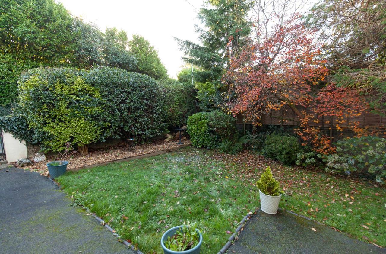 Bodwyn Country Cottage North Wales **By Seren Property** Dolgellau Bagian luar foto